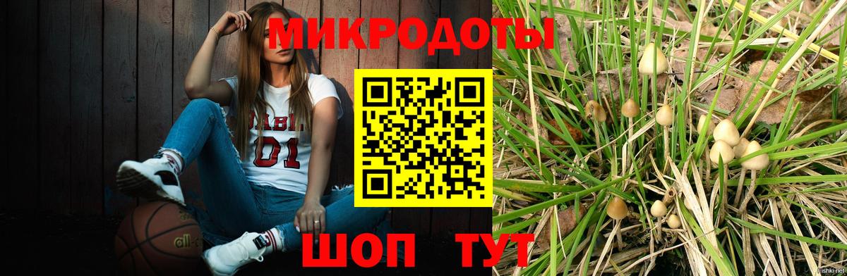 Карталы  Псилоцибиновые грибы GOLDEN TEACHER  Псилоцибиновые грибы MAGIC MUSHROOMS  Вход с VPN 