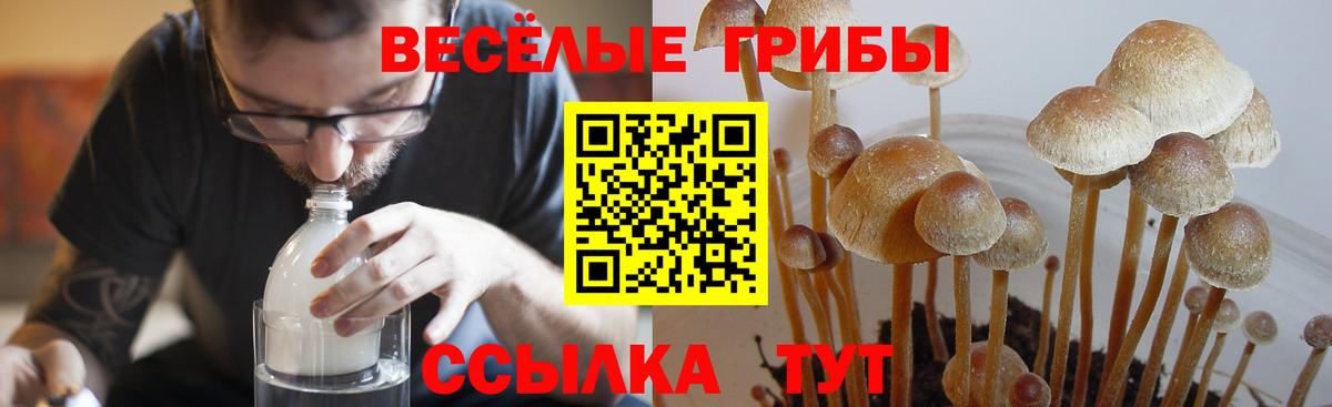 Кокаин  ГАШ  Карталы  Вход с VPN  МЕФ   МЕТАМФЕТАМИН  NBOMe  Бошки Шишки  A PVP СК  